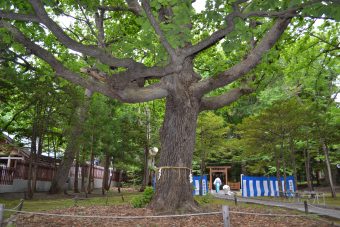 北海道研修会写真2_6