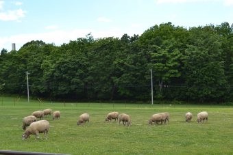 北海道研修会写真2_12