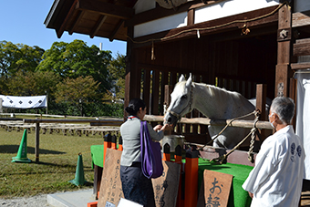 京都シークレットバスツアーとお食事写真1